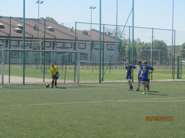 pino 20